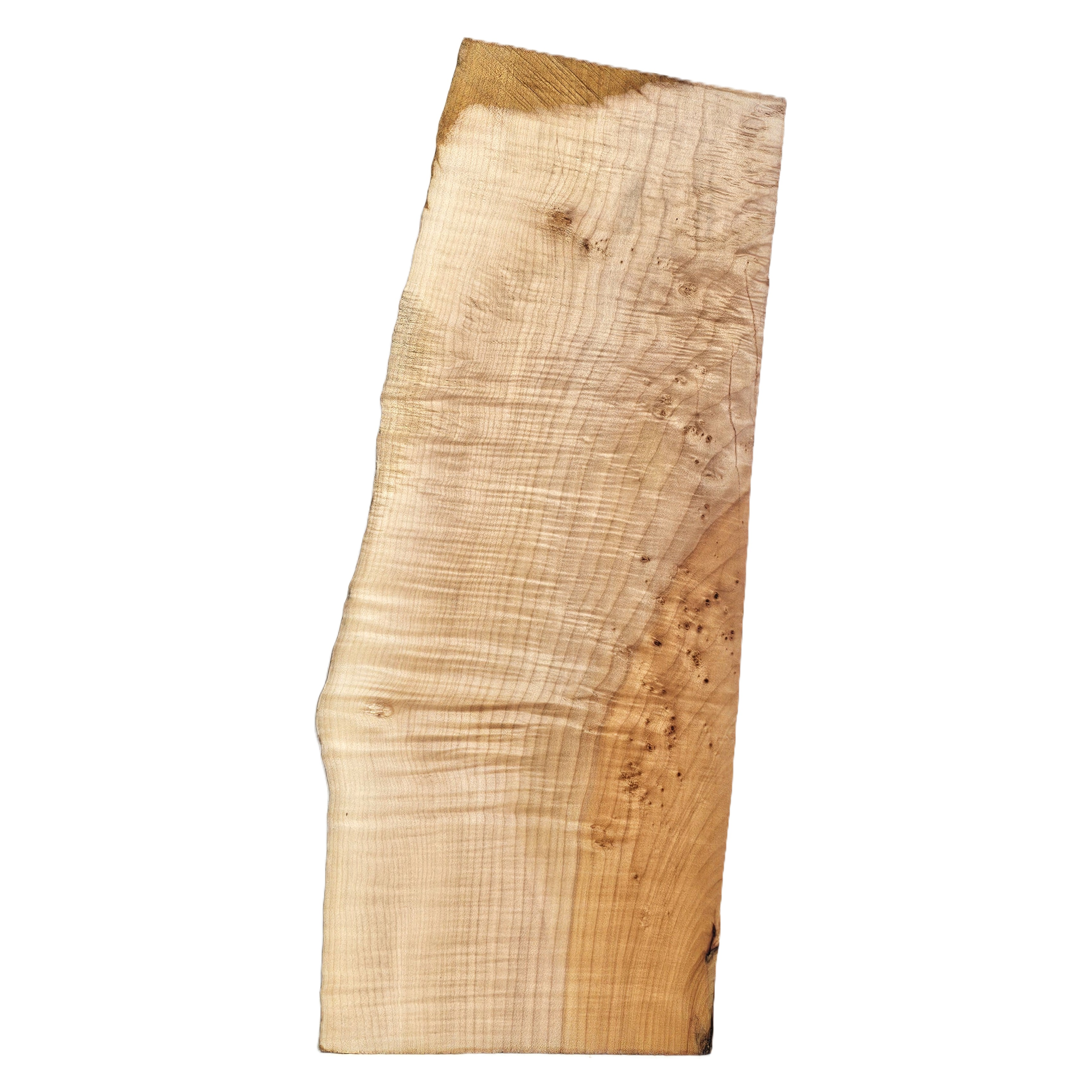 Gorgeous curly maple billet with 5A grade curls across the entire piece, punctuated by many tiny burls, light two-tone color and one live edge.