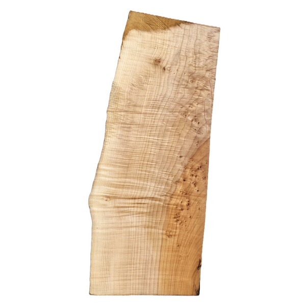 Gorgeous curly maple billet with 5A grade curls across the entire piece, punctuated by many tiny burls, light two-tone color and one live edge.
