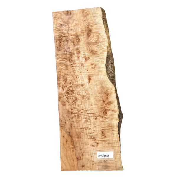 Gorgeous curly maple billet with 5A grade curls across the entire piece, punctuated by many tiny burls, light two-tone color and one live edge.
