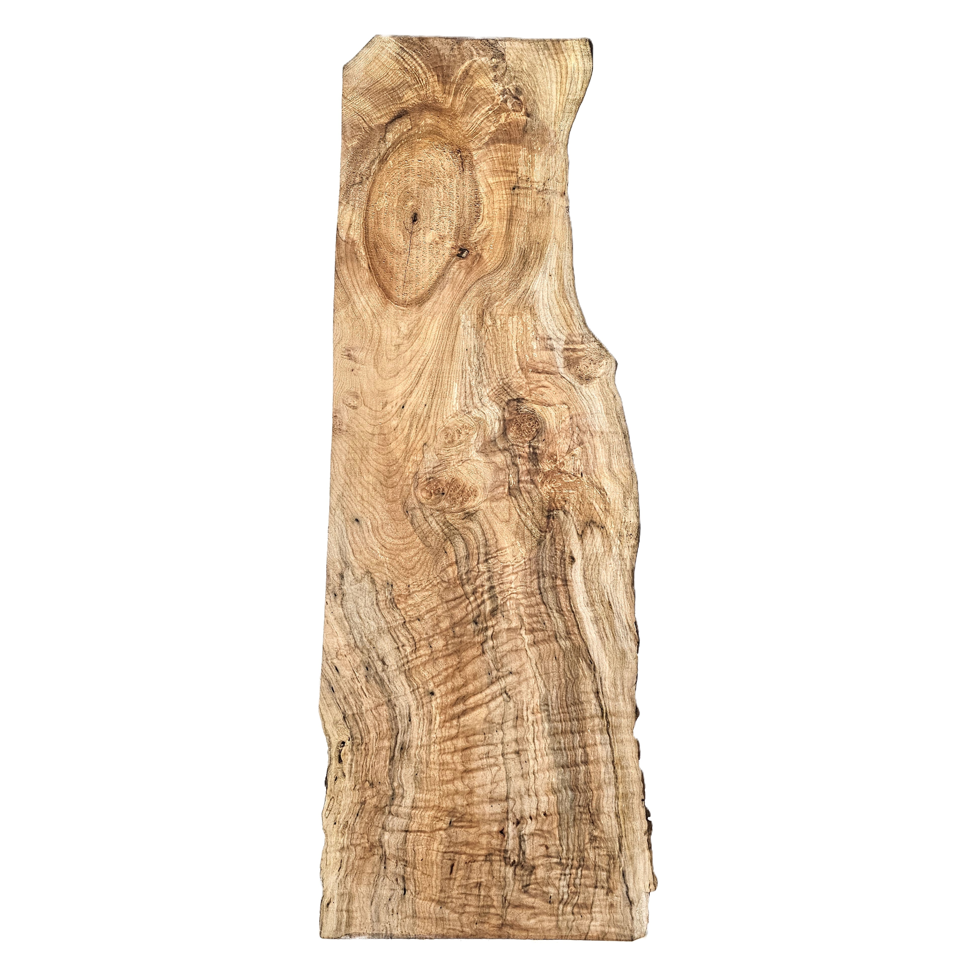 Interesting curly maple billet/mini slab with lots of color variation, spalting, heavy curl on one half, large knot, and live edge.