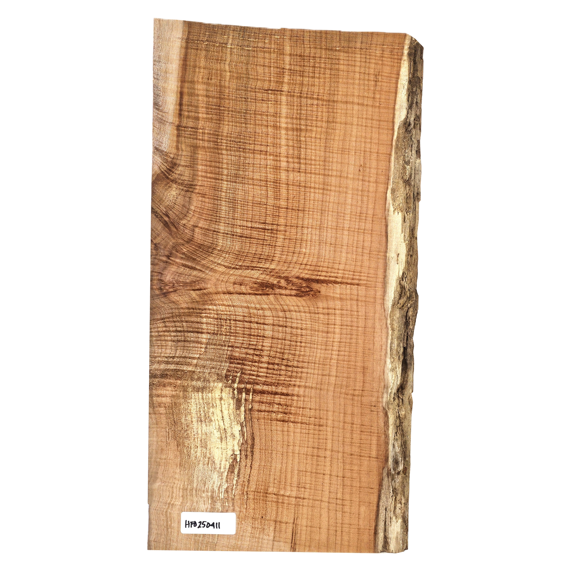 Beautiful curly maple billet/charcuterie board blank with a large center burl, 5A grade curl, light spalting and live edge.