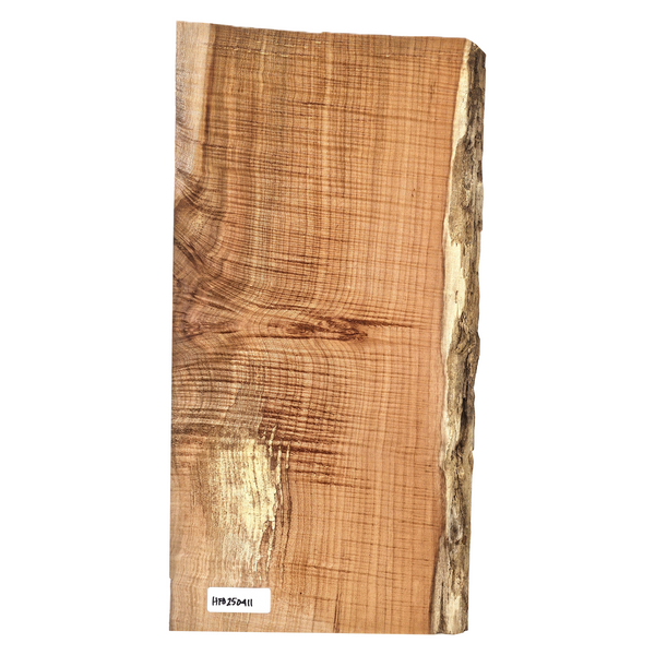 Beautiful curly maple billet/charcuterie board blank with a large center burl, 5A grade curl, light spalting and live edge.