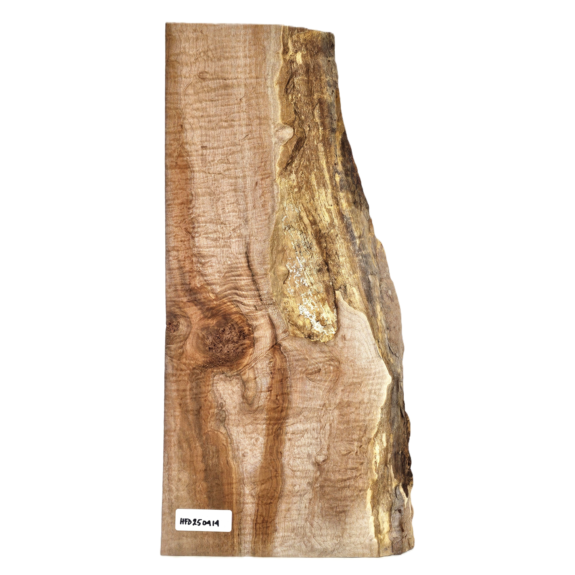 Beautiful flat-sawn curly maple billet/charcuterie board blank with multi-toned coloration, small center burl, 5A grade curl throughout and live edge.