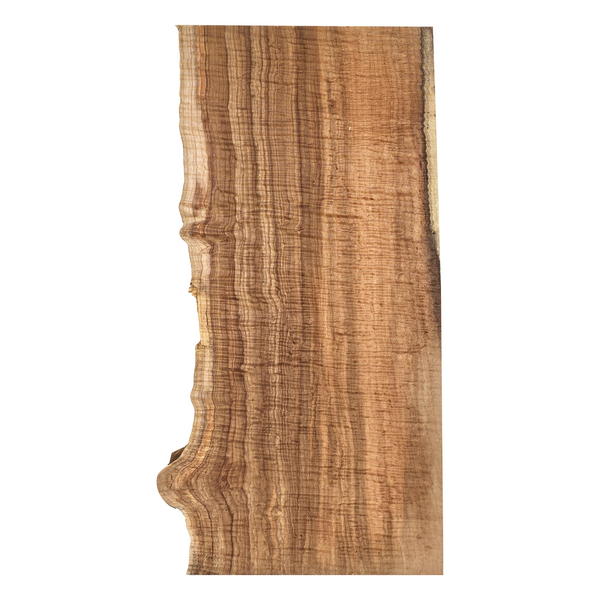 Beautiful curly maple billet/charcuterie board blank with deep chocolate coloring, 5A grade curl, and live edge.