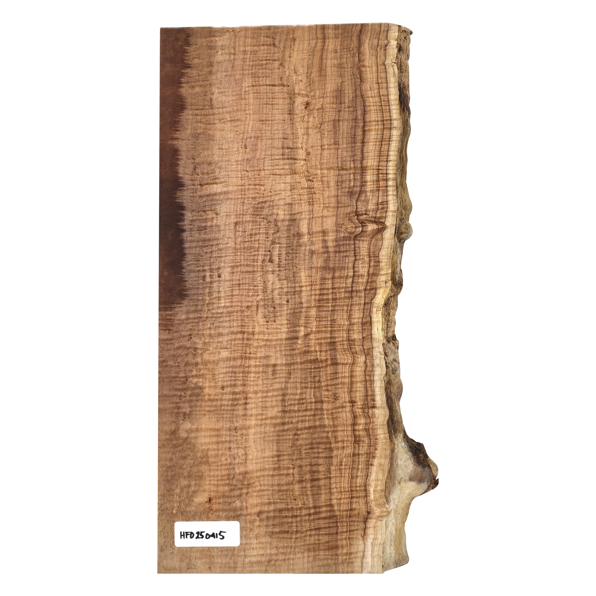 Beautiful curly maple billet/charcuterie board blank with deep chocolate coloring, 5A grade curl, and live edge.