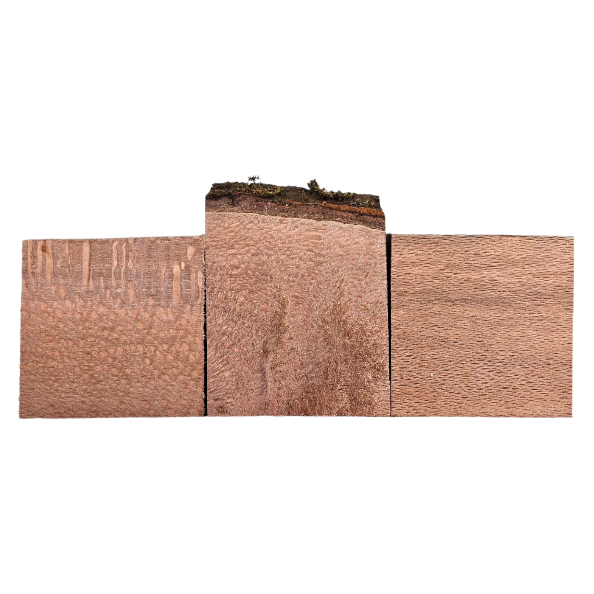 Three macadamia wood bowl blanks showing a range of color and figure.