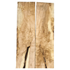Beautiful 2-piece maple burl book-matched set with interesting bark seam, scattered eye spots, light curl, and wonderful color variation.
