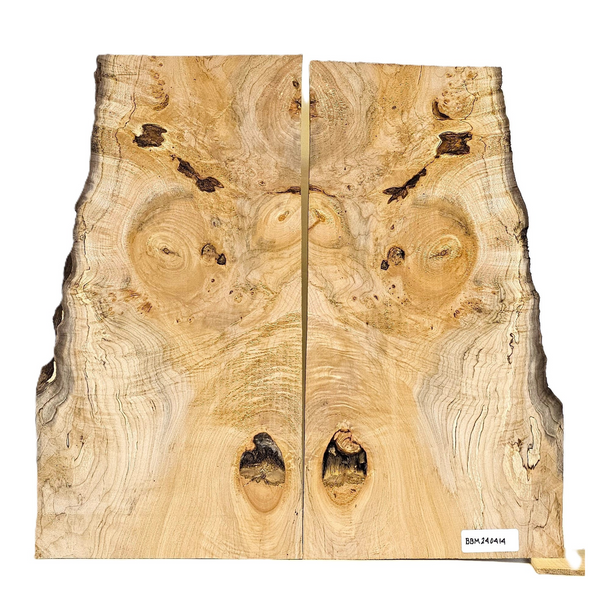 Wonderful maple burl book-matched set with interesting bark seams, light curl, large knots, voids, color variations and live edges.