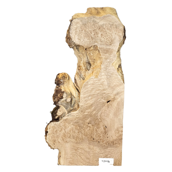 Striking and unique maple burl craft board/billet with heavy curl, lots of burl eyes, interesting shape and live edges.