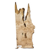 Gorgeous maple burl craft board with scattered burl eyes, interesting center void, wonderful shape and live edge.