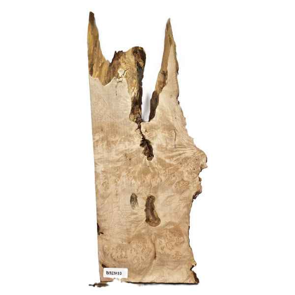 Gorgeous maple burl craft board with scattered burl eyes, interesting center void, wonderful shape and live edge.