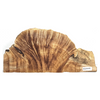 Gorgeous large single maple burl with waterfall "rays", curl on edges, and live edge.