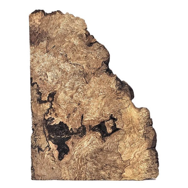Small maple burl chunk with heavy burl eyes, spalting and live edge.