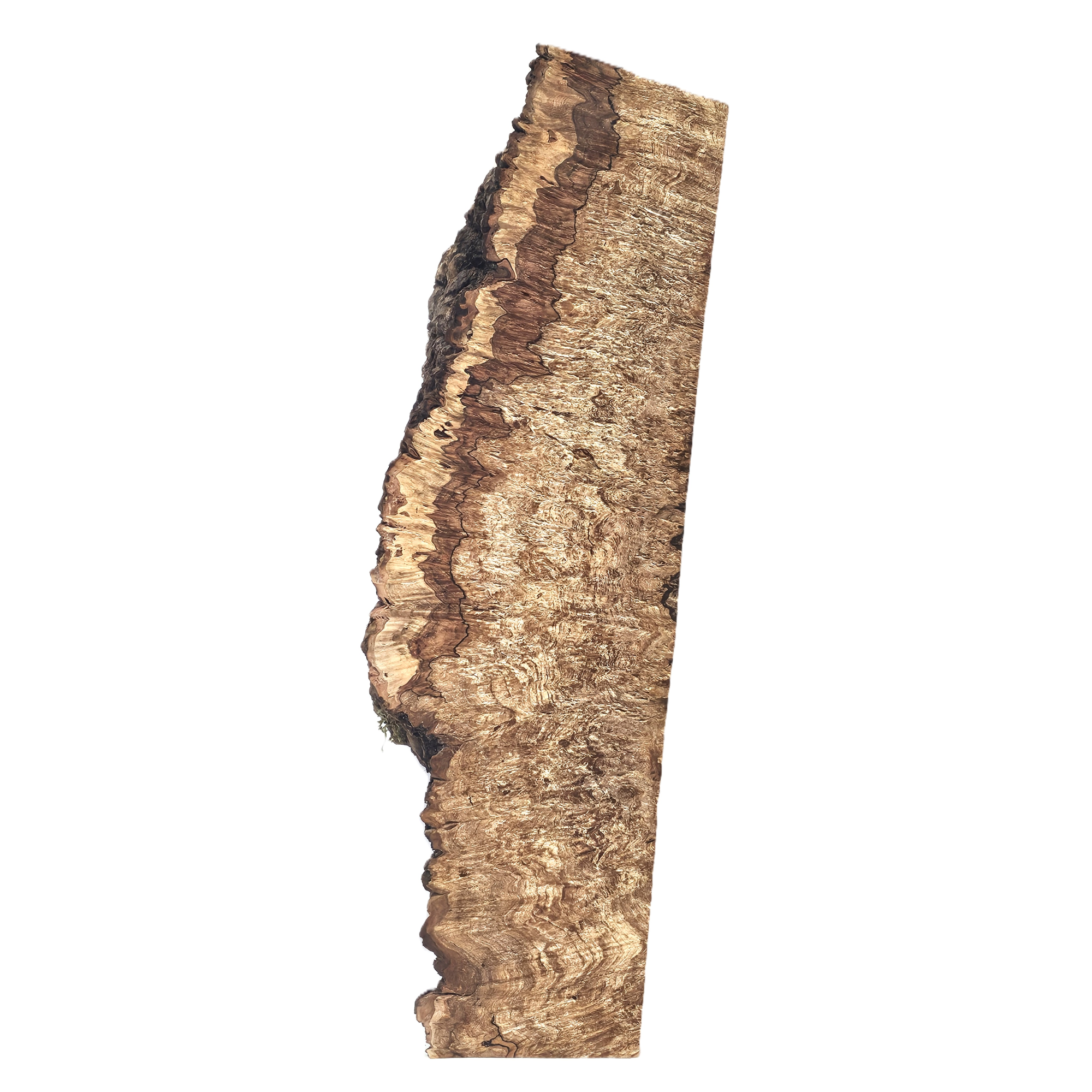 Gorgeous maple burl craft board with intense color variations, end to end waterfall burl, and live edge.