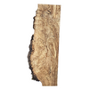 Beautiful maple burl billet filled with intense burl eyes, light spalting, small voids, and live edge.