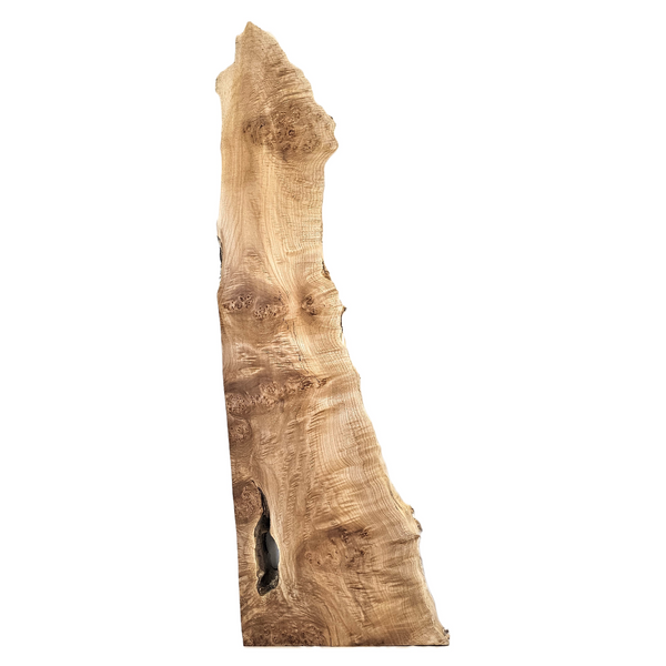 Large maple burl craft board/billet with lots of interesting burl patterns, scattered curl, bark seam, and wonderful shape.