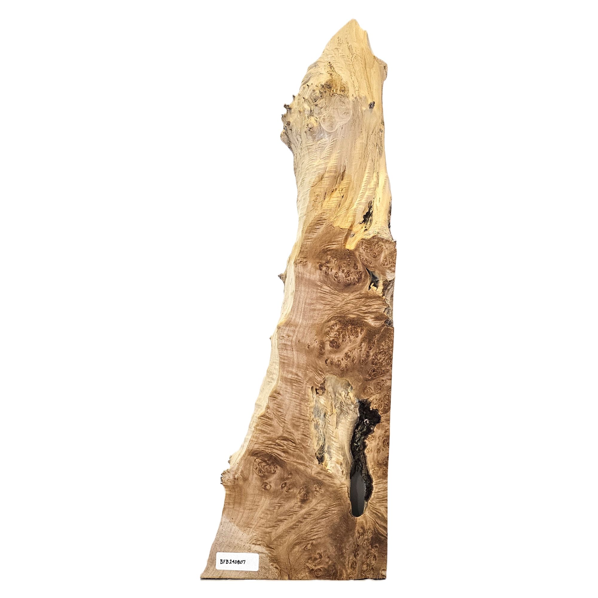 Large maple burl craft board/billet with lots of interesting burl patterns, scattered curl, bark seam, and wonderful shape.