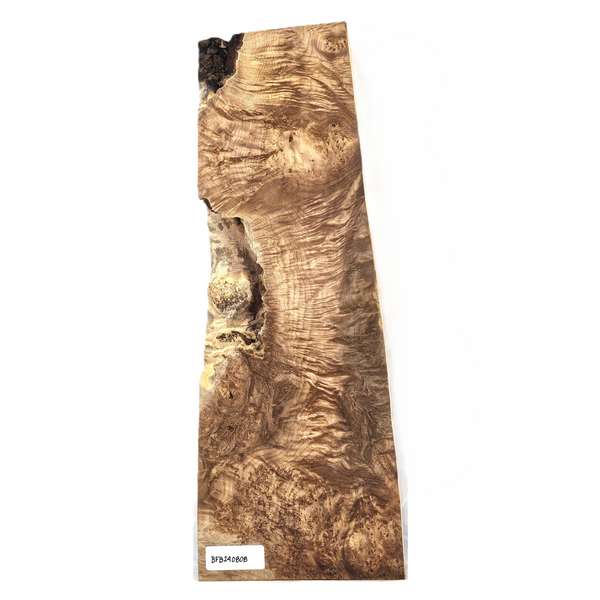 Absolutely beautiful maple burl billet with scattered quilting.  This piece has wonderful gold color, deep chatoyance, and and interesting bark seam.