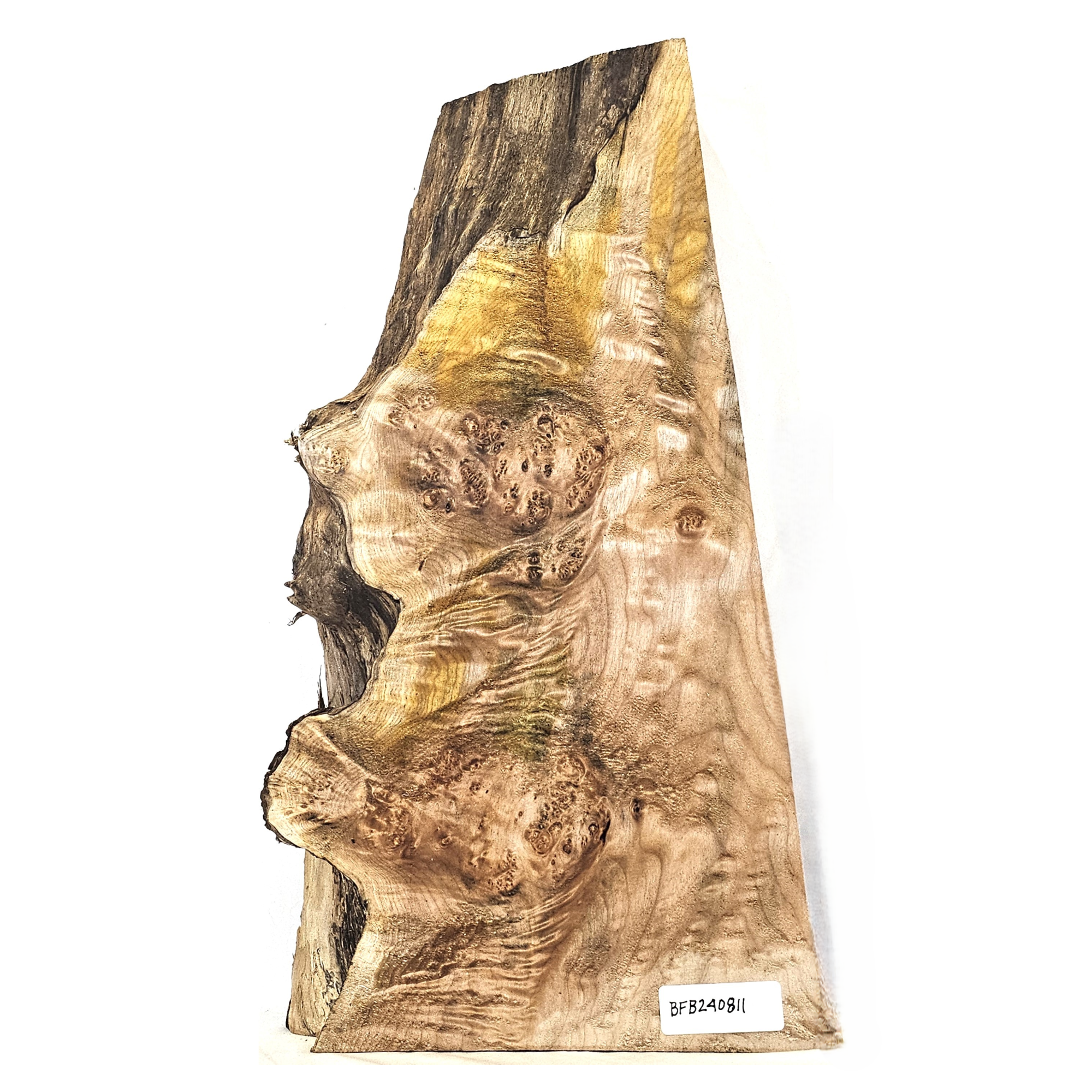 Beautiful maple burl billet with large burls, scattered quilting, wonderful color variation and interesting live edge.