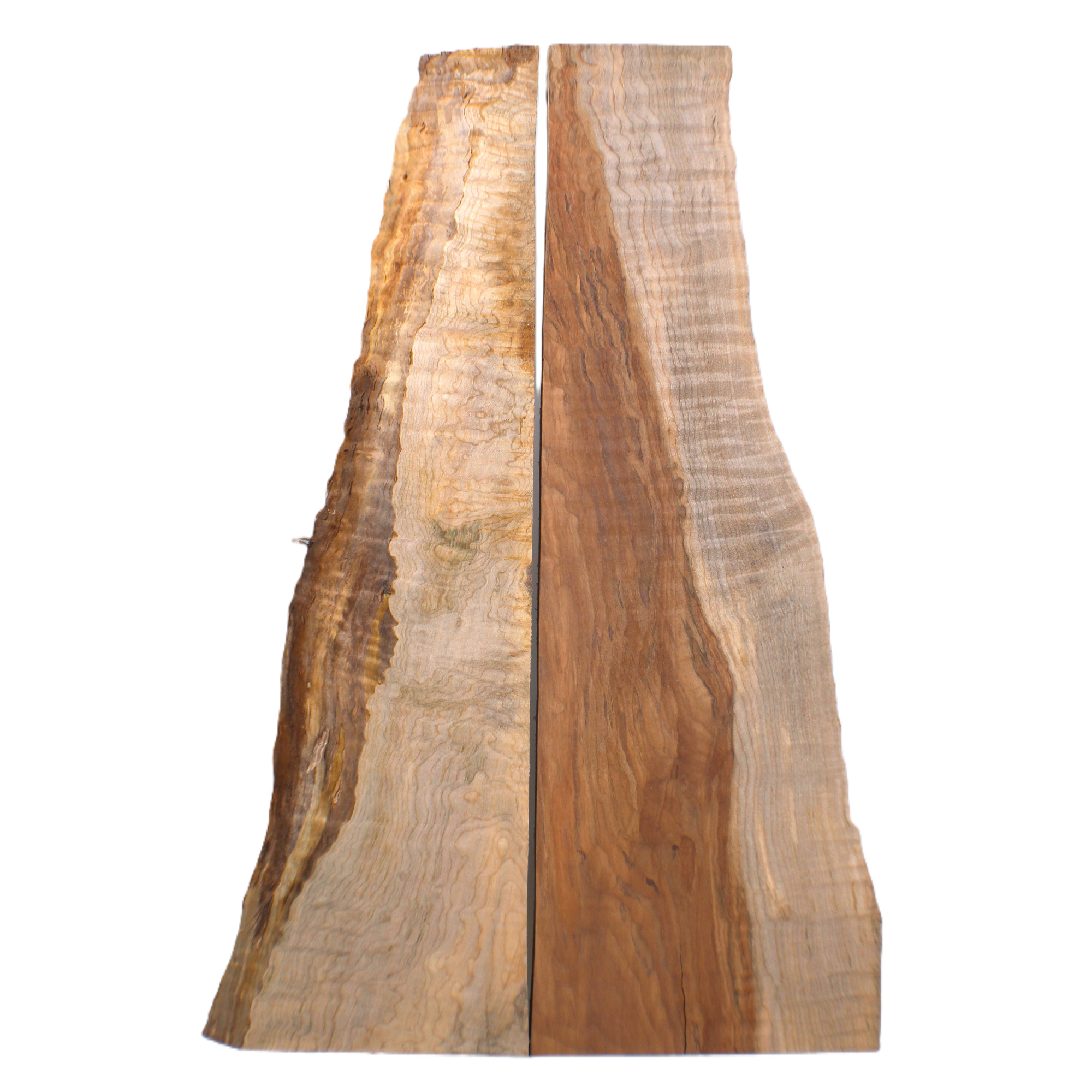 Interesting flat-sawn flame to quilted maple two-piece set with 4A grade curl/quilt throughout, beautiful blue color variation and live edge.  One piece is heavily two-toned on one side.