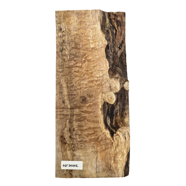 Beautiful 4A grade quilted maple billet with chocolate coloring and interesting live edge.