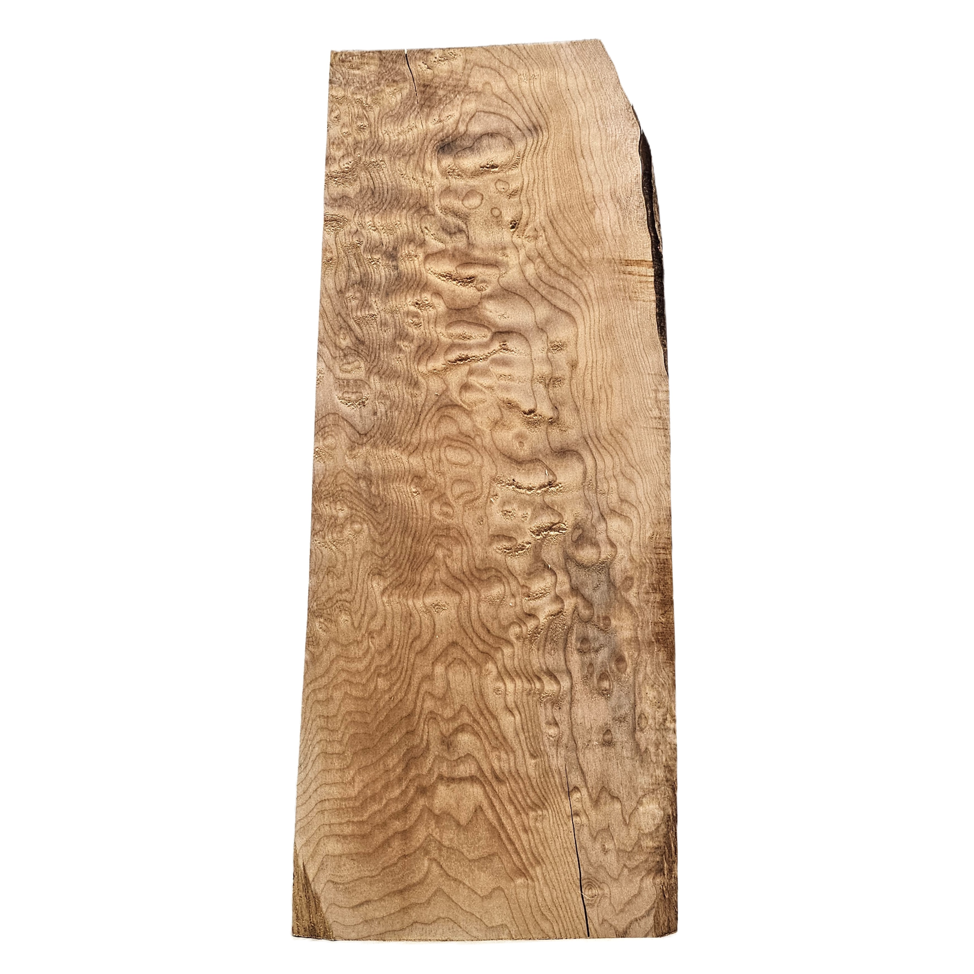 Interesting live void in this 4A grade quilted maple billet.  Figure throughout and beautiful color.