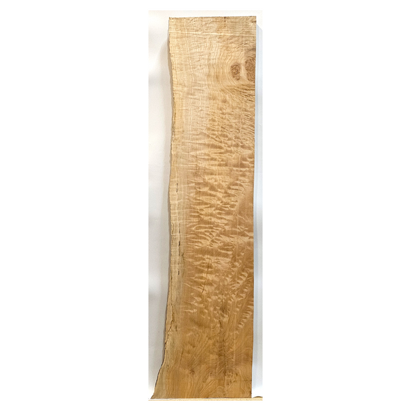 Beautiful quilted maple table slab with 5A grade figure, burl, light two-tone color and live edge.