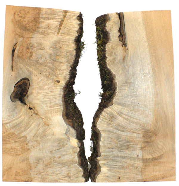 Dimensions each piece: Thickness 2.25", Max width 12", Max length 25".  Absolutely gorgeous 2-piece maple burl set with two-tone color, blue streaks, heavy waterfall burl, 5A compression curl, bark inclusions, and live edges.