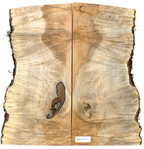 Dimensions each piece: Thickness 2.25", Max width 12", Max length 25".  Absolutely gorgeous 2-piece maple burl set with two-tone color, blue streaks, heavy waterfall burl, 5A compression curl, bark inclusions, and live edges.