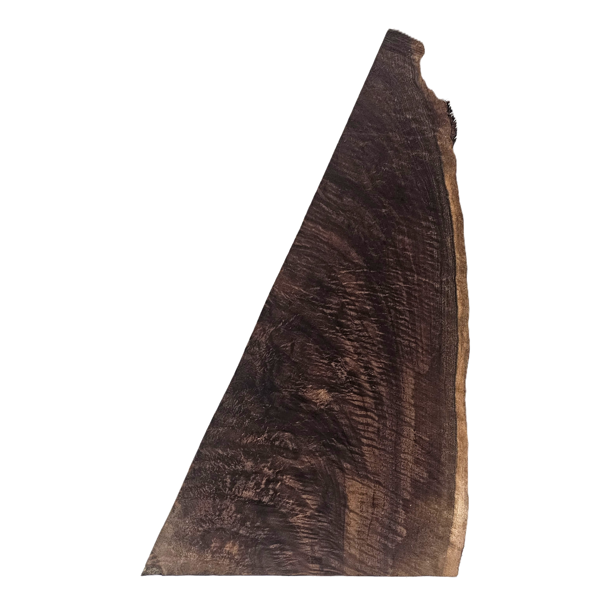 Beautiful Bastogne walnut craft board with heavy curl and feather, deep color and live edge.