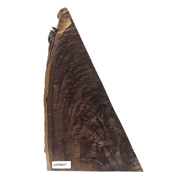 Beautiful Bastogne walnut craft board with heavy curl and feather, deep color and live edge.
