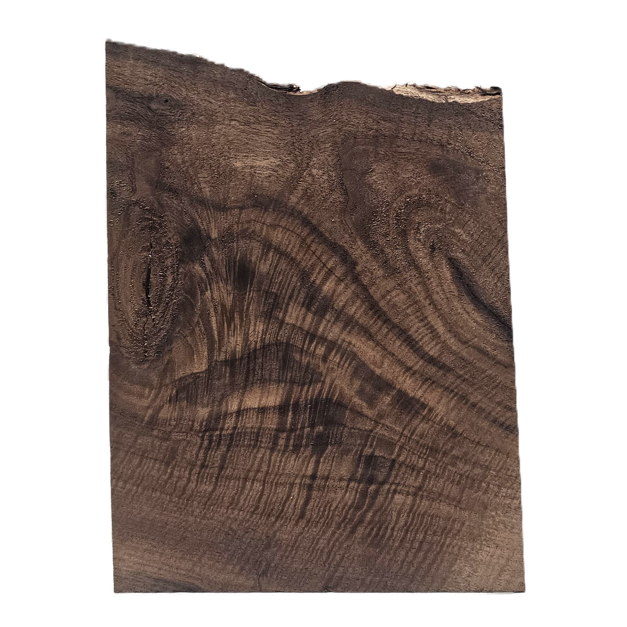 Beautiful Bastogne walnut craft board with wonderful heavy grain and intense curl throughout.