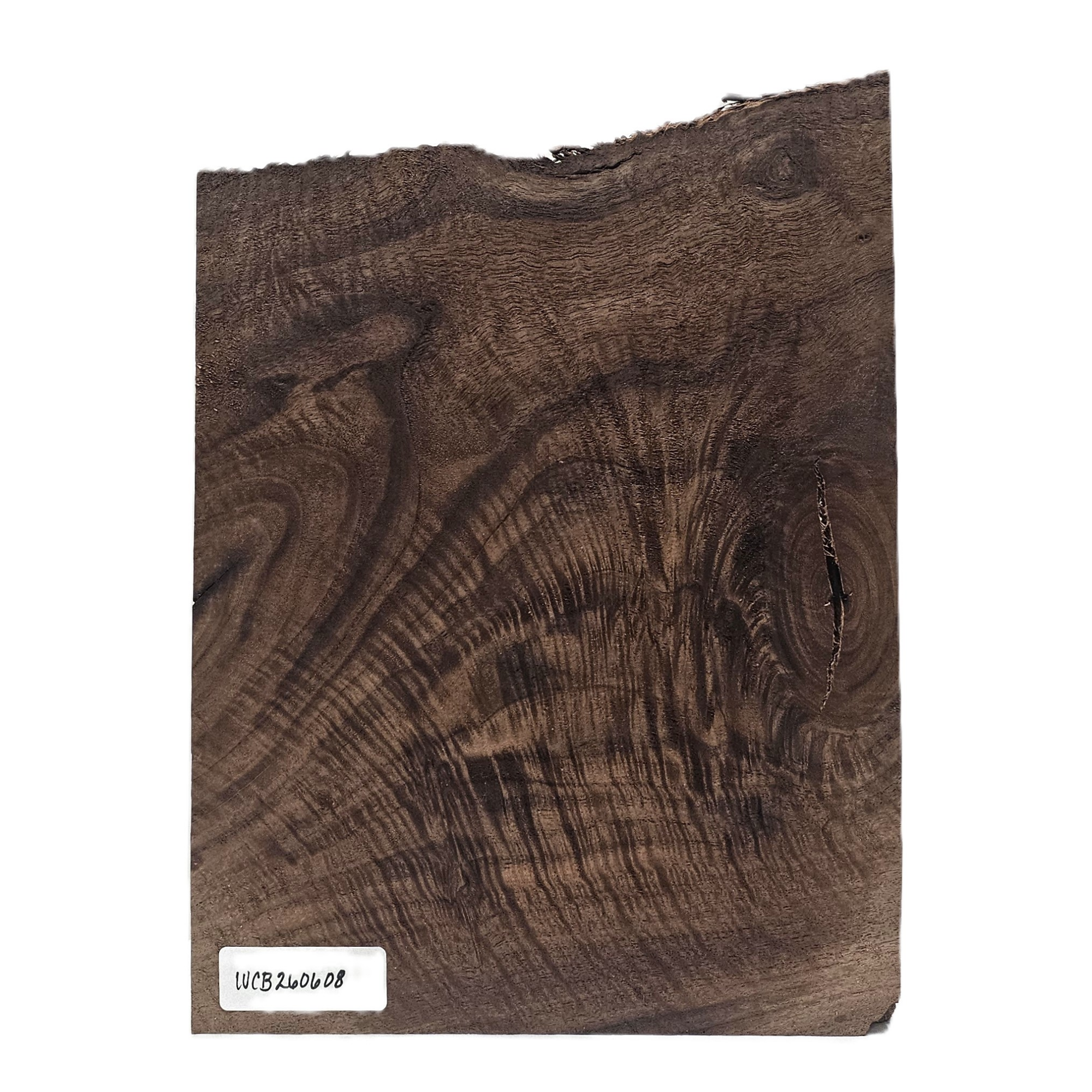 Beautiful Bastogne walnut craft board with wonderful heavy grain and intense curl throughout.