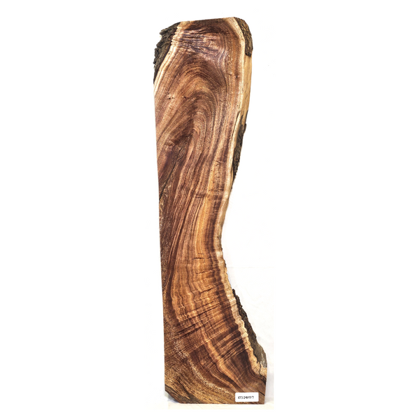 Beautiful curly koa slab with 5A grade curl, wonderful color, interesting shape and live edge.