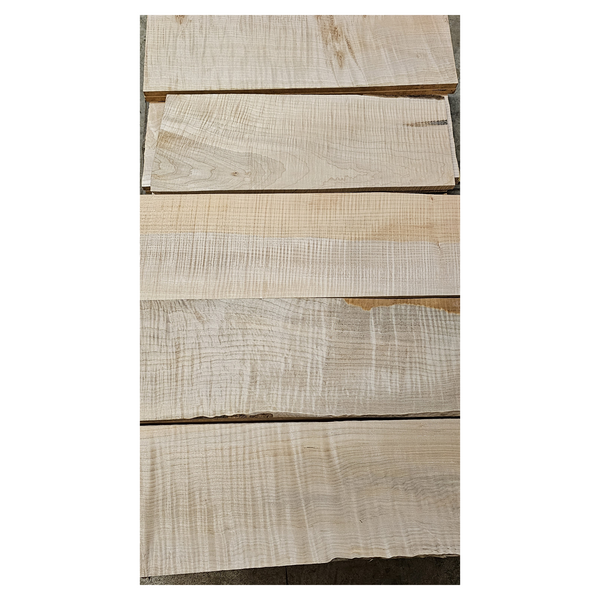 Selection of flame maple craft sets in varying colors and curl grade.