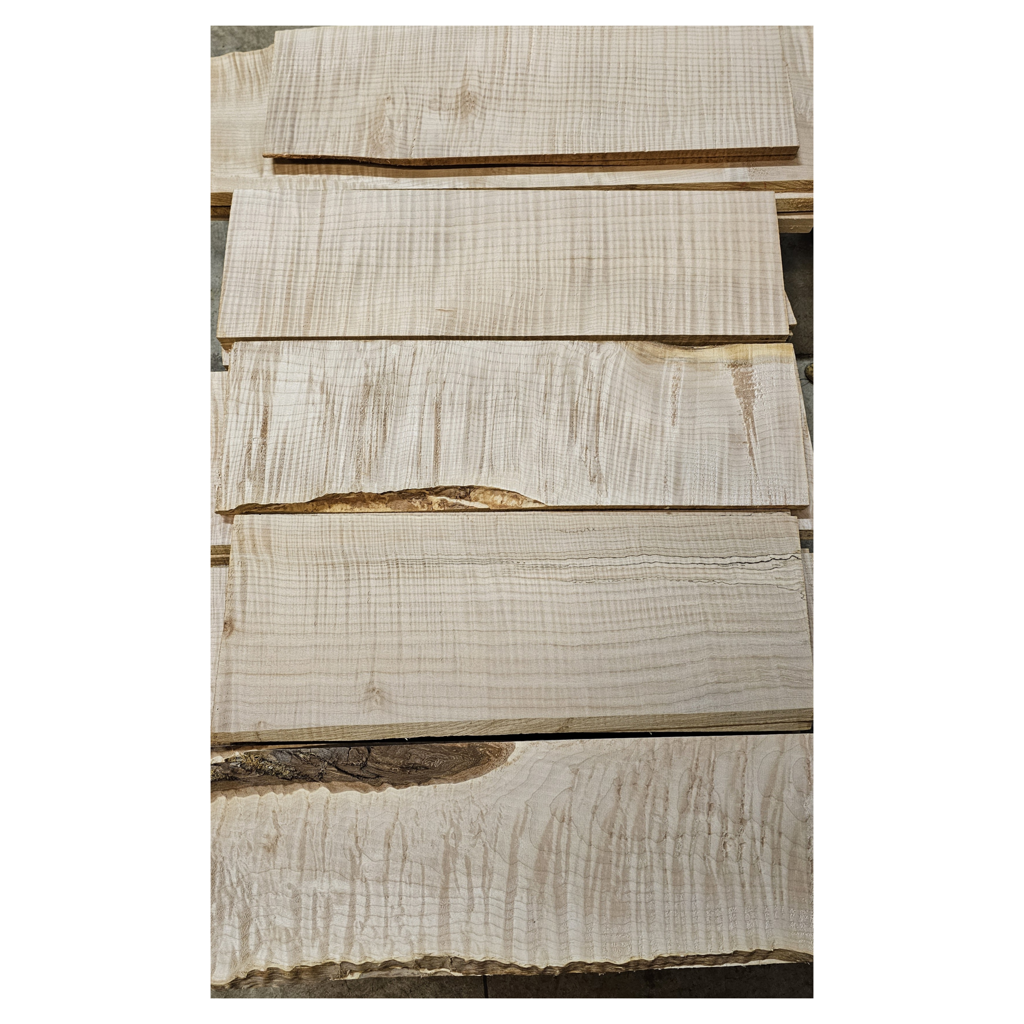 Selection of flame maple craft sets in varying colors and curl grade.