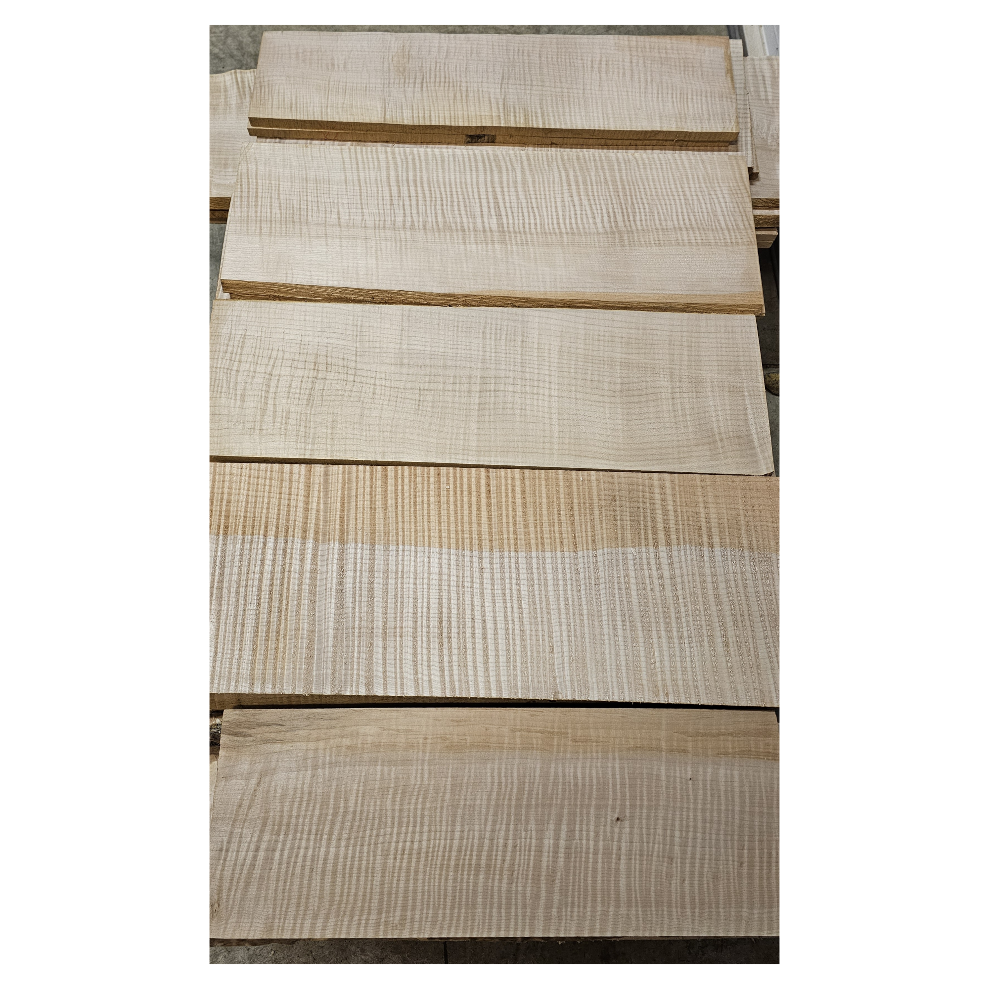 Selection of flame maple craft sets in varying colors and curl grade.