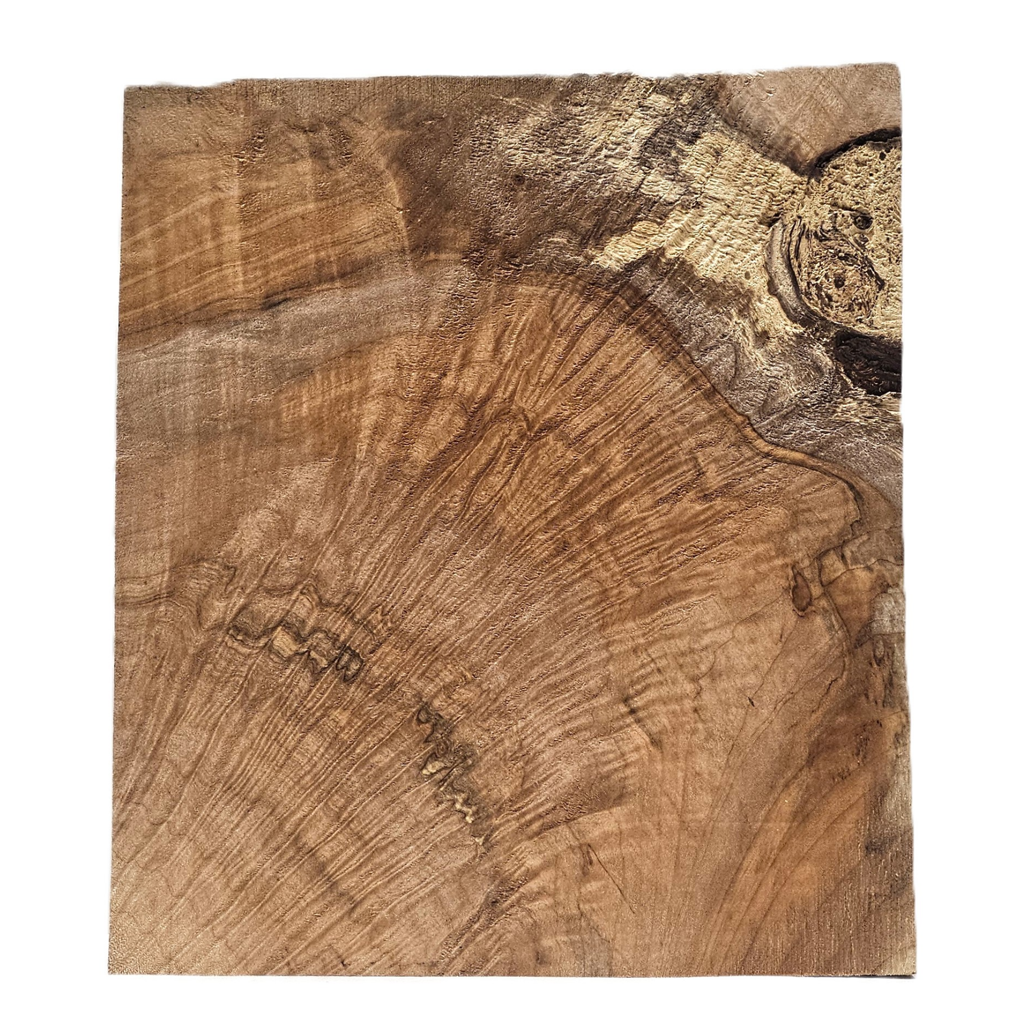 Beautiful flame (curly) maple craft board with wonderful color, strong figure throughout, interesting center void and light spalting.