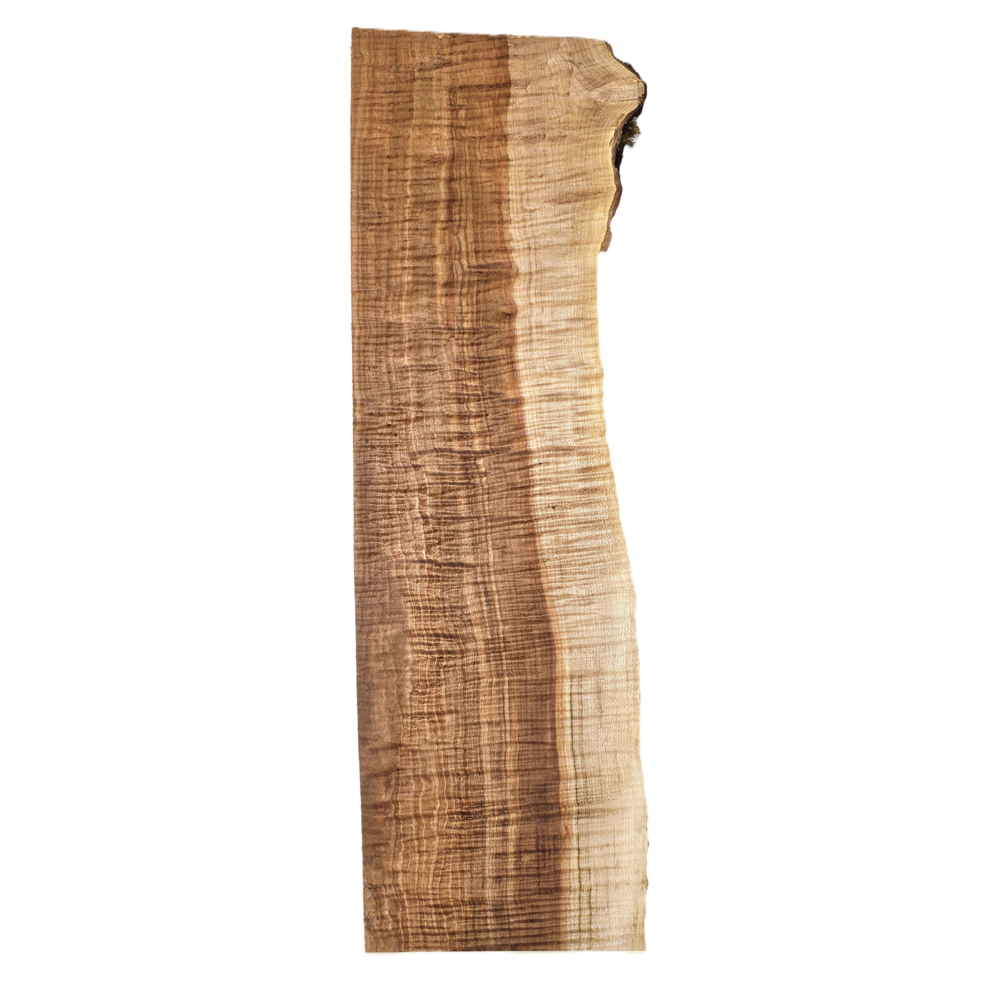 Beautiful curly maple billet/charcuterie board blank with top-grade (5A) figure throughout, two-toned coloring, small bark seam and live edge.