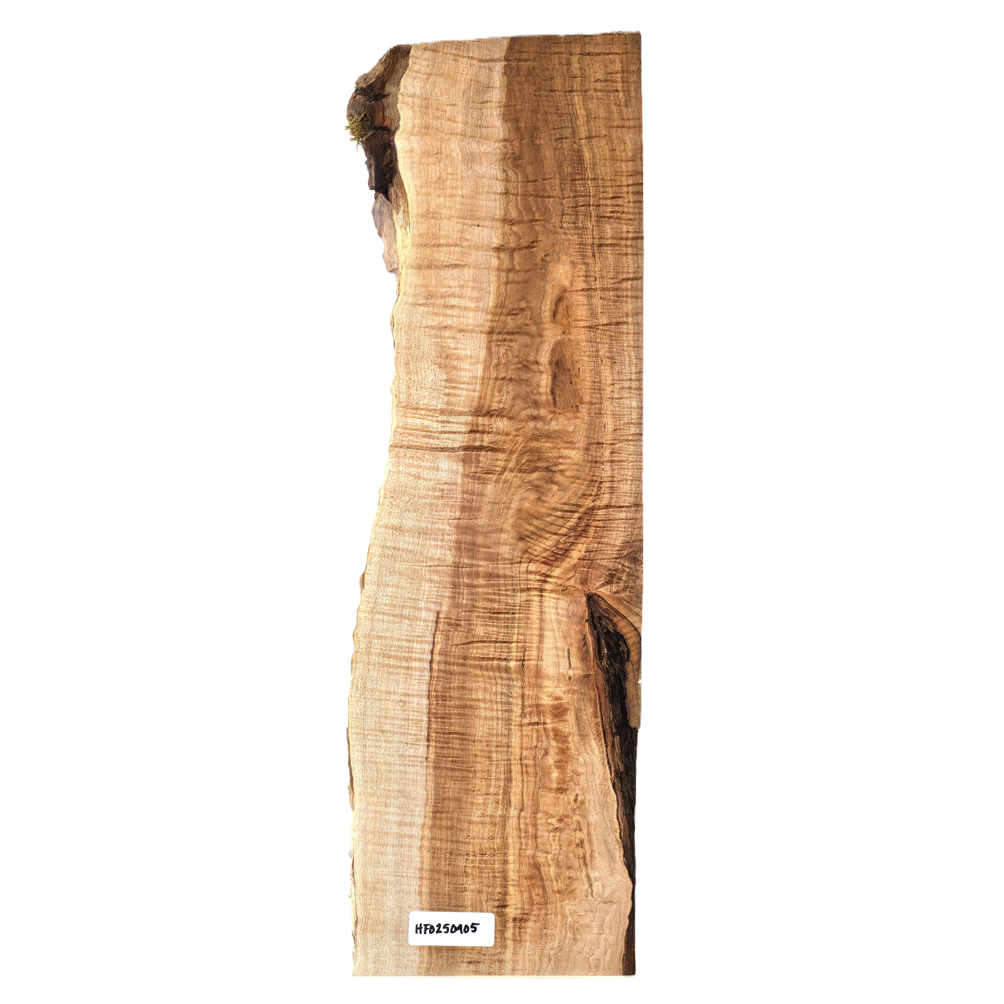 Beautiful curly maple billet/charcuterie board blank with top-grade (5A) figure throughout, two-toned coloring, small bark seam and live edge.