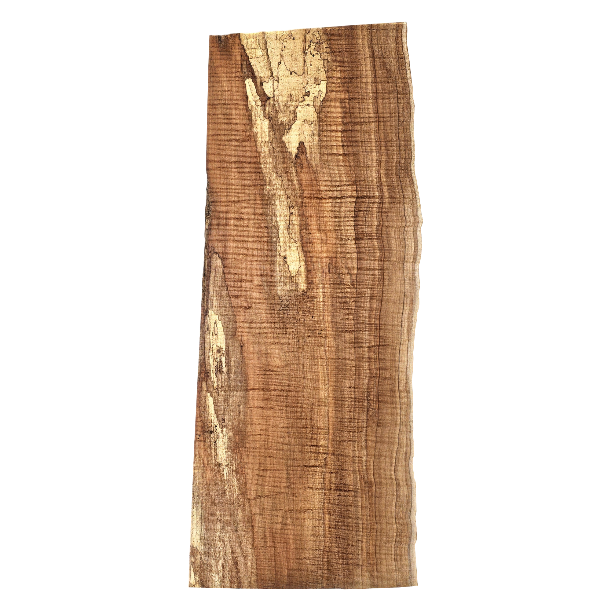 op grade (5A) curl throughout this curly maple billet/charcuterie board blank with chocolate color, spalting, and live edge.