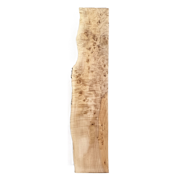 Beautiful curly maple mini slab with 5A grade figure throughout the piece, multiple tiny burls scattered, light two-tone color and live edge.