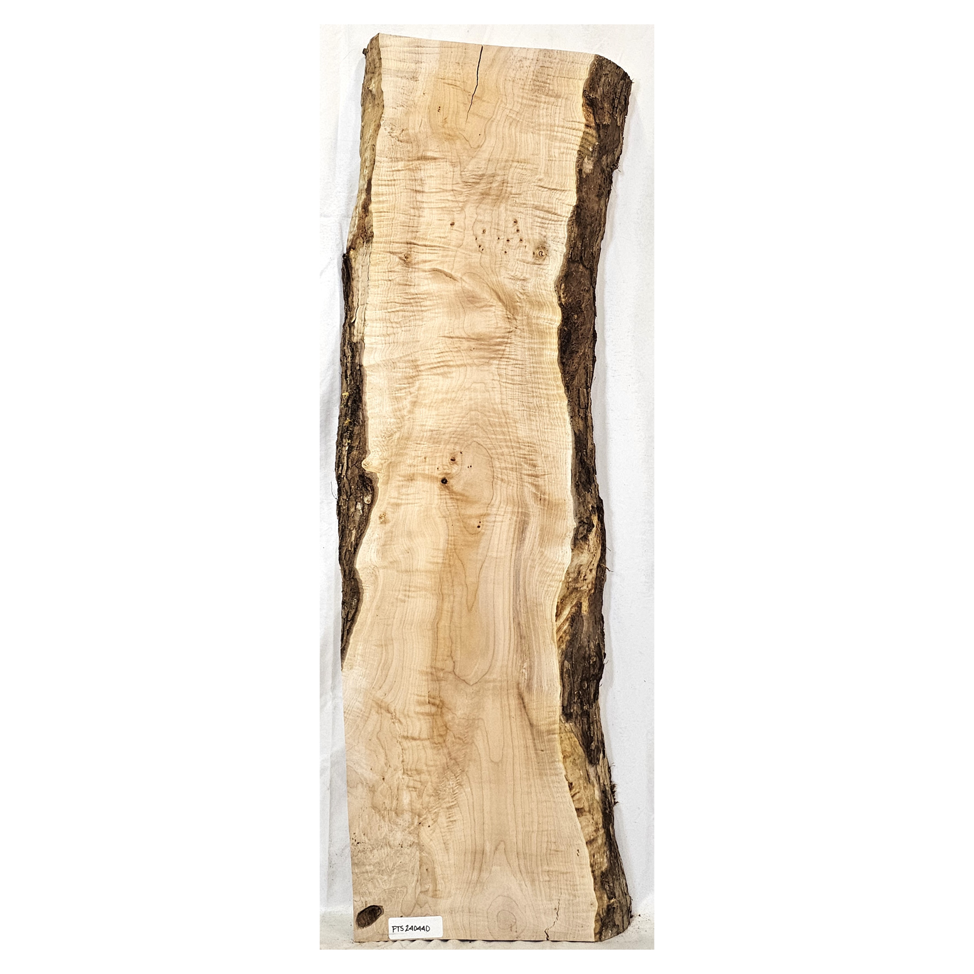 Flame (curly) maple slab with 4A grade flat-sawn figure, light two-tone color, bark seam and live edges.  This piece has end checks.