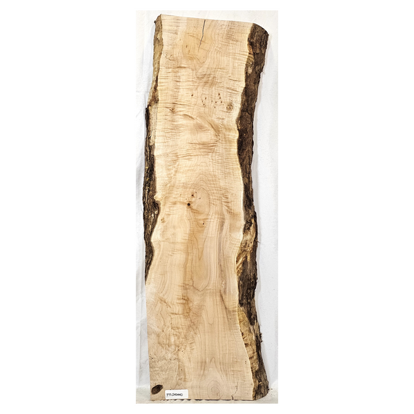 Flame (curly) maple slab with 4A grade flat-sawn figure, light two-tone color, bark seam and live edges.&nbsp; This piece has end checks.