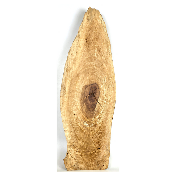 Interesting Hawaiian ironwood cookie with large center knot, feather figure, and live edges.