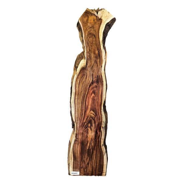 Gorgeous curly koa craft board/mini slab with interesting shaped, tight curls, deep red color and live edges.