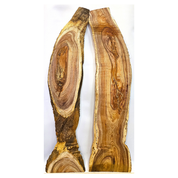 2-piece koa set with light curl throughout, beautiful color and shape and live edges.