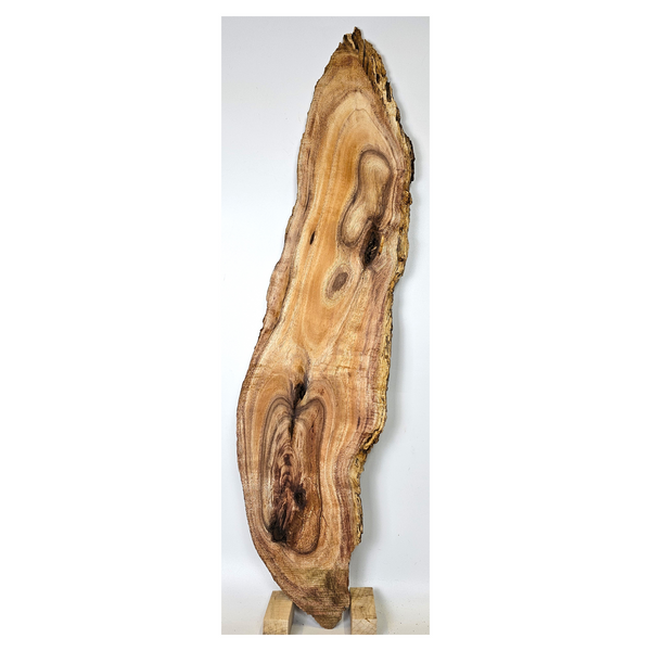 Beautiful curly koa craft board with light curl, wonderful color variation, spalting, voids, interesting shape, and live edges.