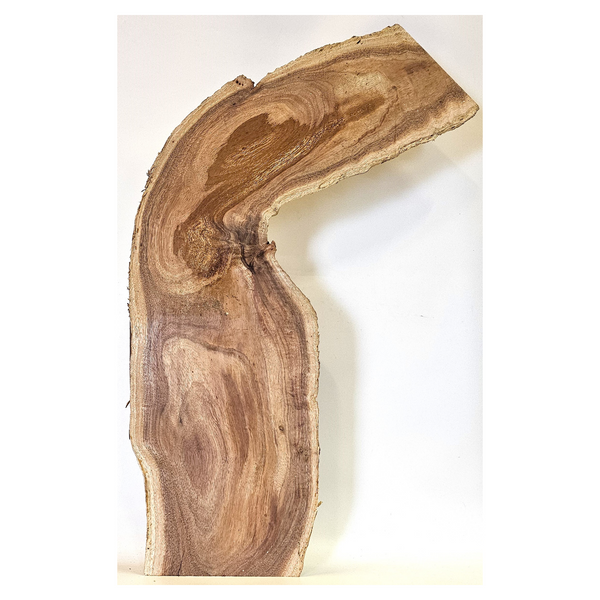 Lightly curly koa craft board with nice color, sap lines, live edges and interesting shape.