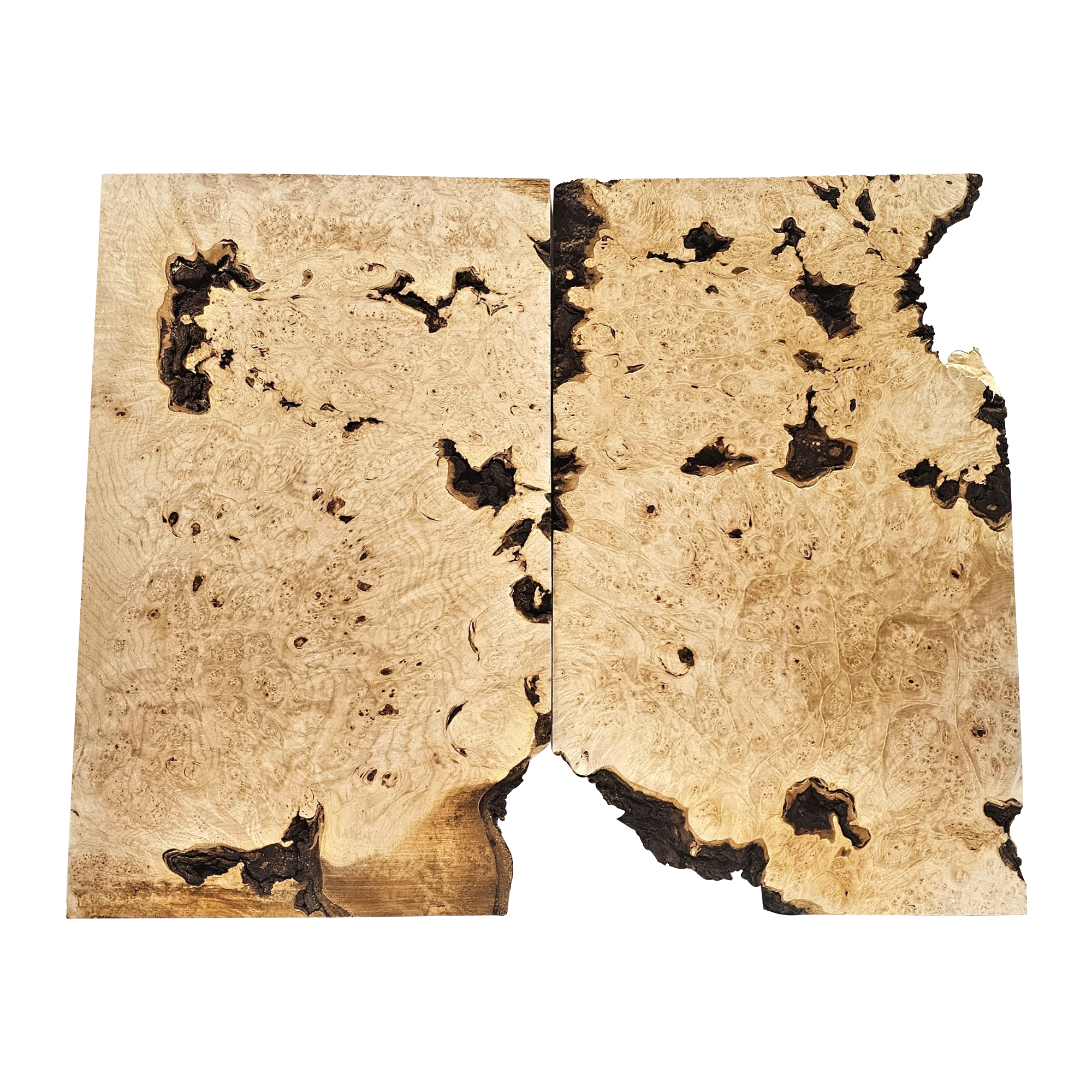 2-piece book-matched set of maple burl with heavy burl eyes, beautiful color and interesting bark seams.